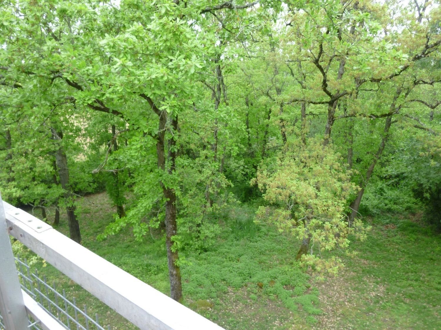 Appartement à louer, 48m², Labastide-Beauvoir