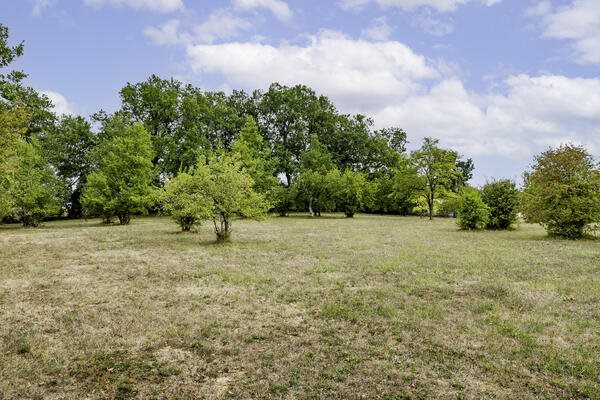 Maison à vendre, 231m², Saint-Aubin-de-Branne