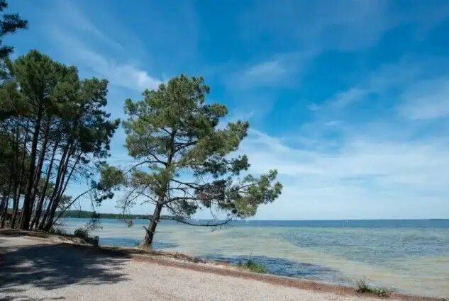 Maison à louer, 180m², Hourtin