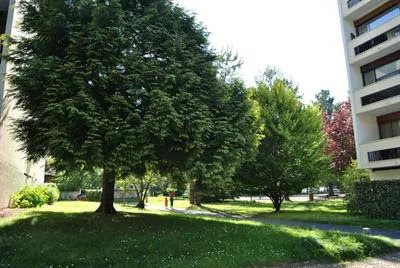 Appartement à louer, 13m², Pessac