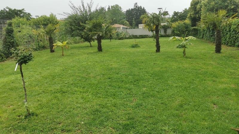 Maison à louer, 42m², Sainte-Terre