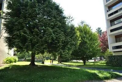 Appartement à louer, 13m², Pessac