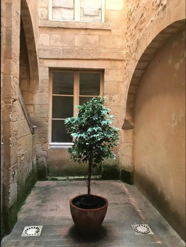 Appartement à louer, 22m², Bordeaux