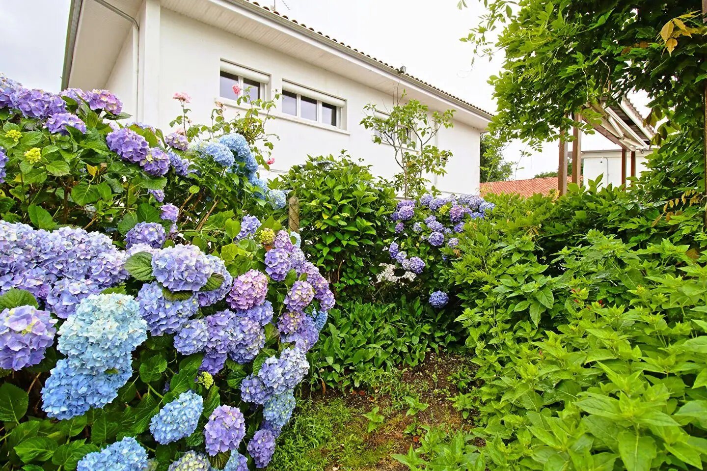 Maison à vendre, 90m², Sort-en-Chalosse