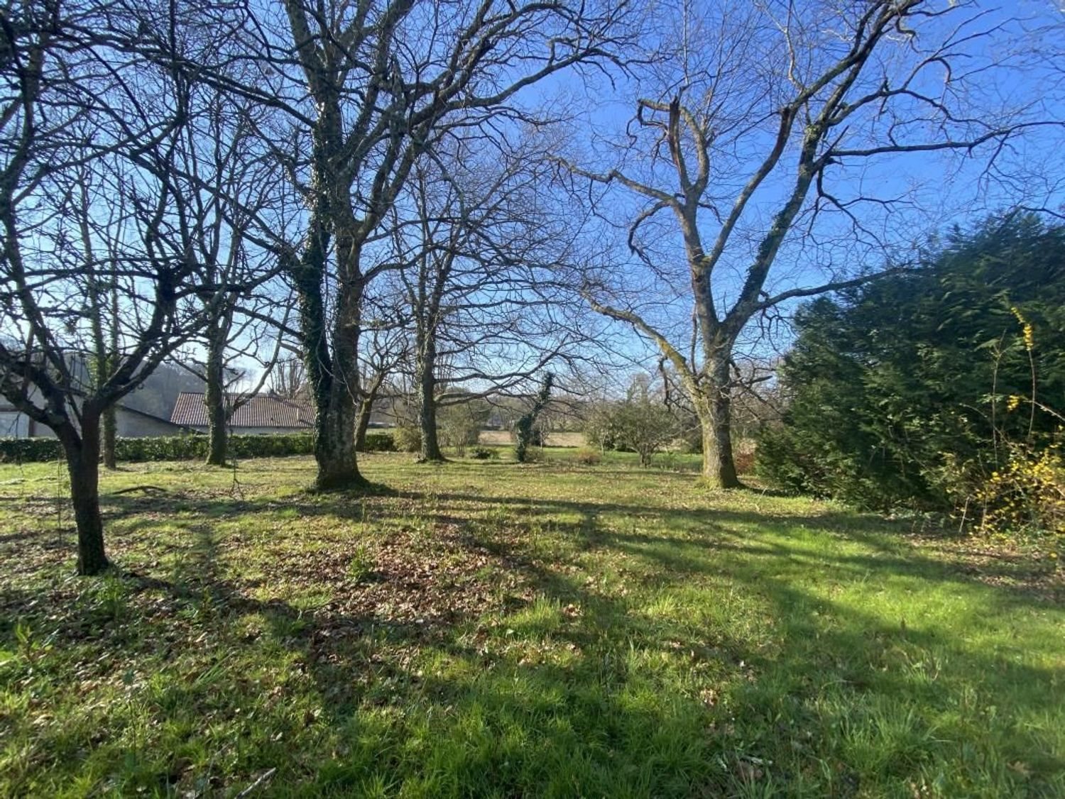 Maison à vendre, 202m², Pouillon
