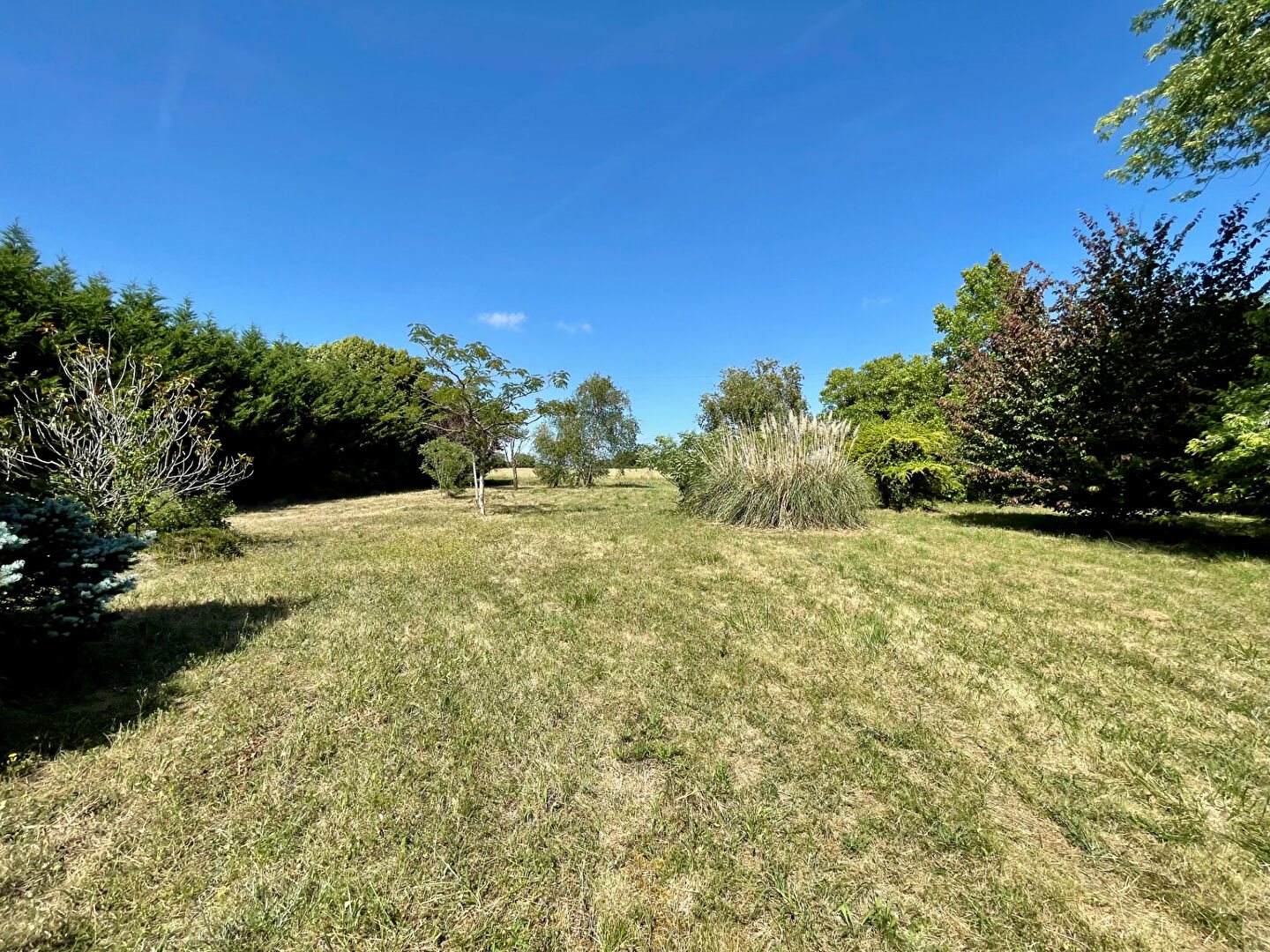Maison à vendre, 130m², Le Controis-en-Sologne