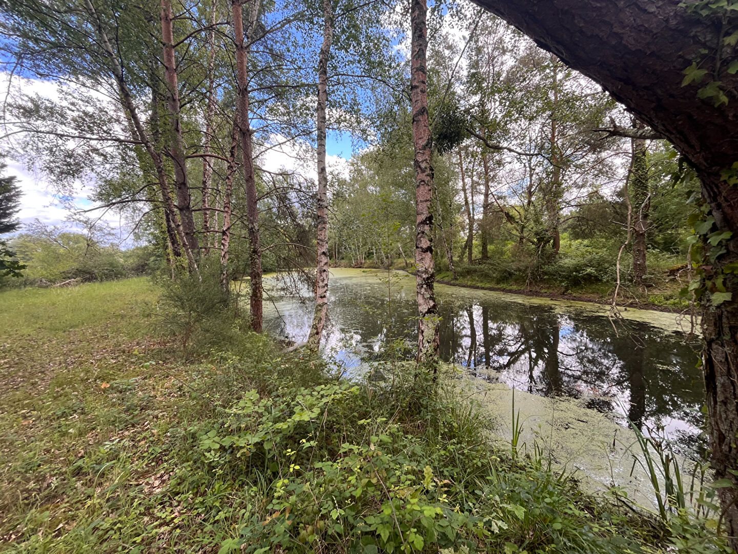 Maison à louer, 110m², Gy-en-Sologne