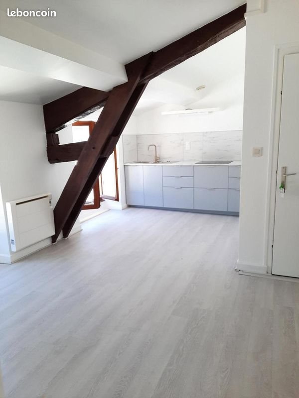 Appartement à louer, 35m², Saint-Symphorien-sur-Coise