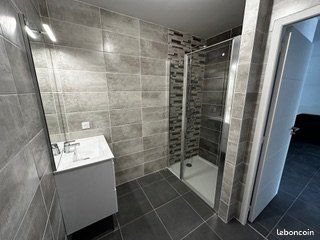 Appartement à louer, 49m², Saint-Étienne