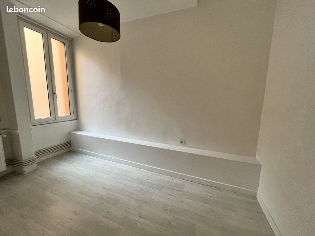 Appartement à louer, 47m², Saint-Etienne