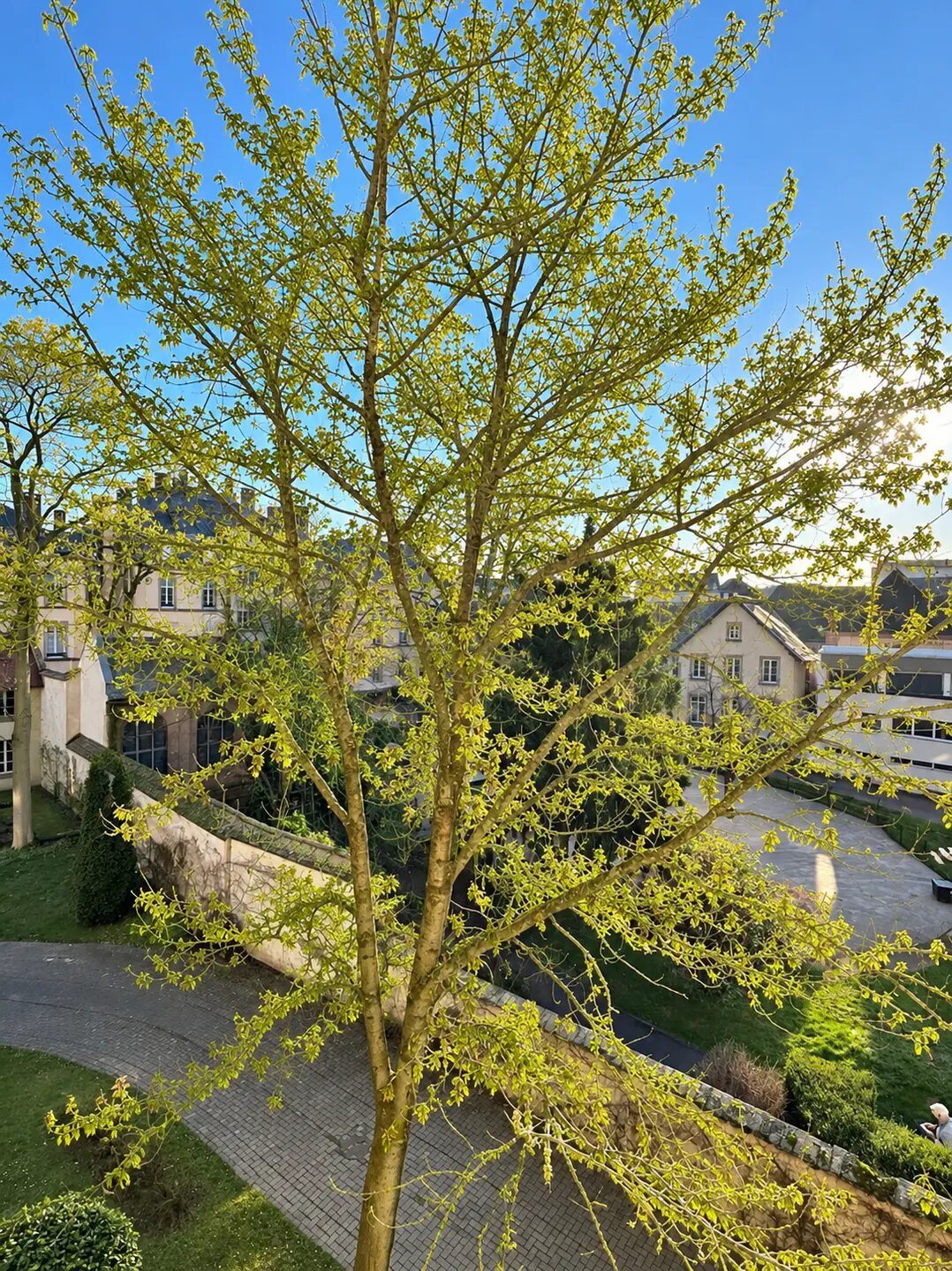 Appartement à vendre, 51m², Strasbourg