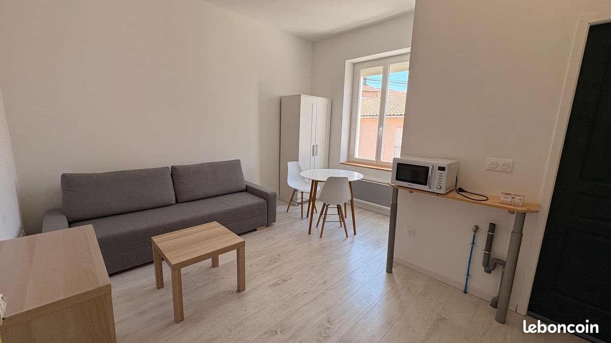 Appartement à louer, 19m², Albi