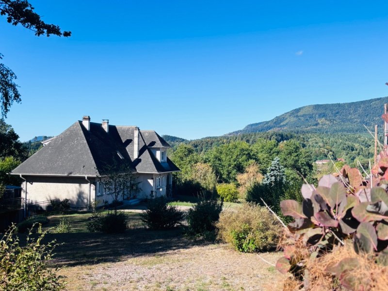 Maison à vendre, 135m², Saint-Dié-des-Vosges