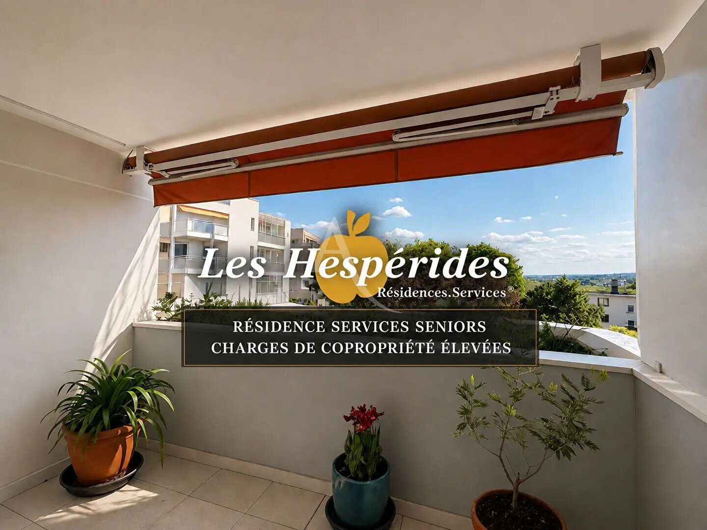 Appartement à vendre, 49m², Nogent-sur-Marne