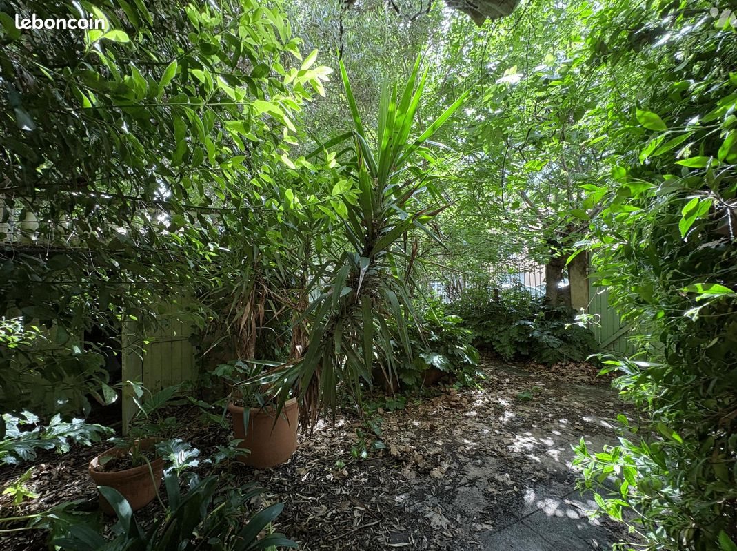 Maison à vendre, 187m², Bédarrides