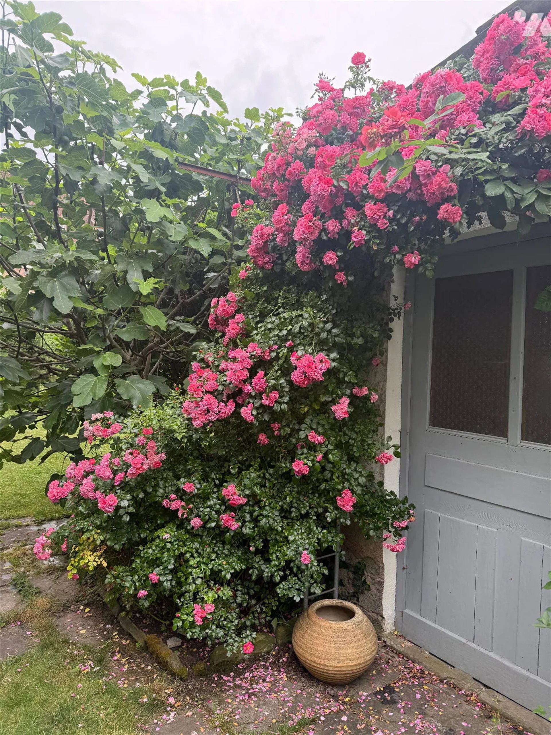 Appartement à vendre, 141m², Strasbourg