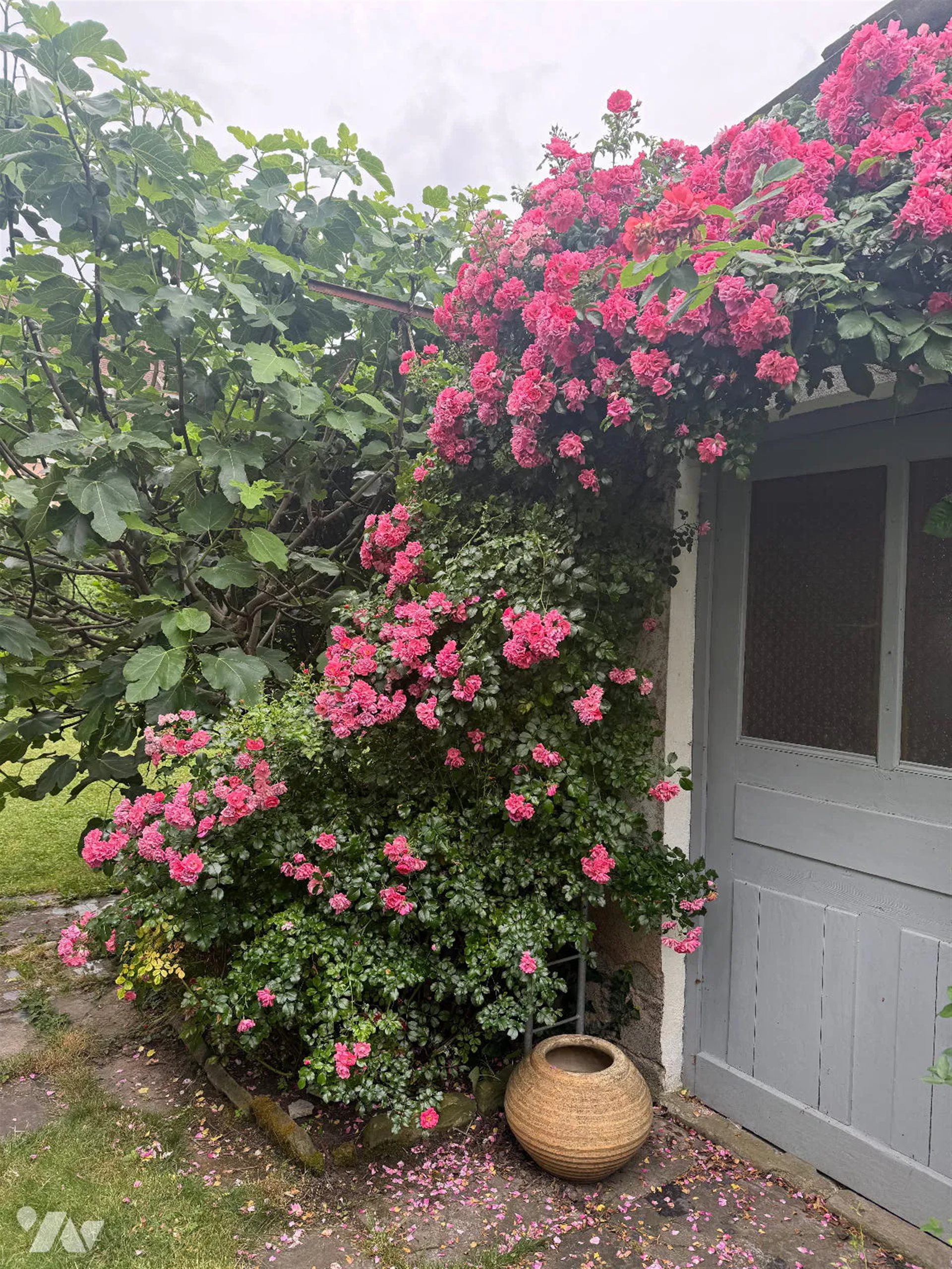 Appartement à vendre, 79m², Strasbourg