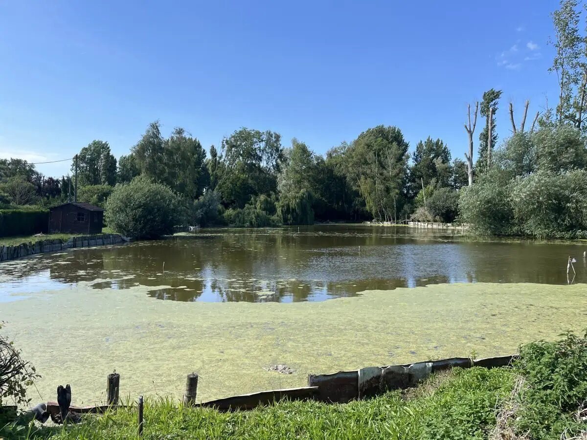 Maison à vendre, 104m², Ardres