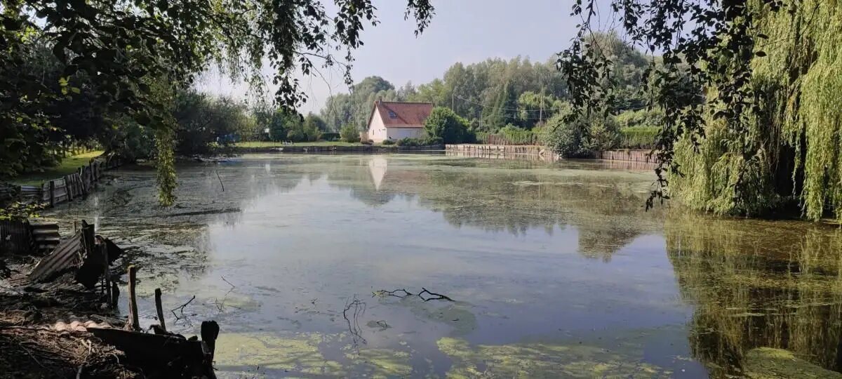 Maison à vendre, 104m², Ardres