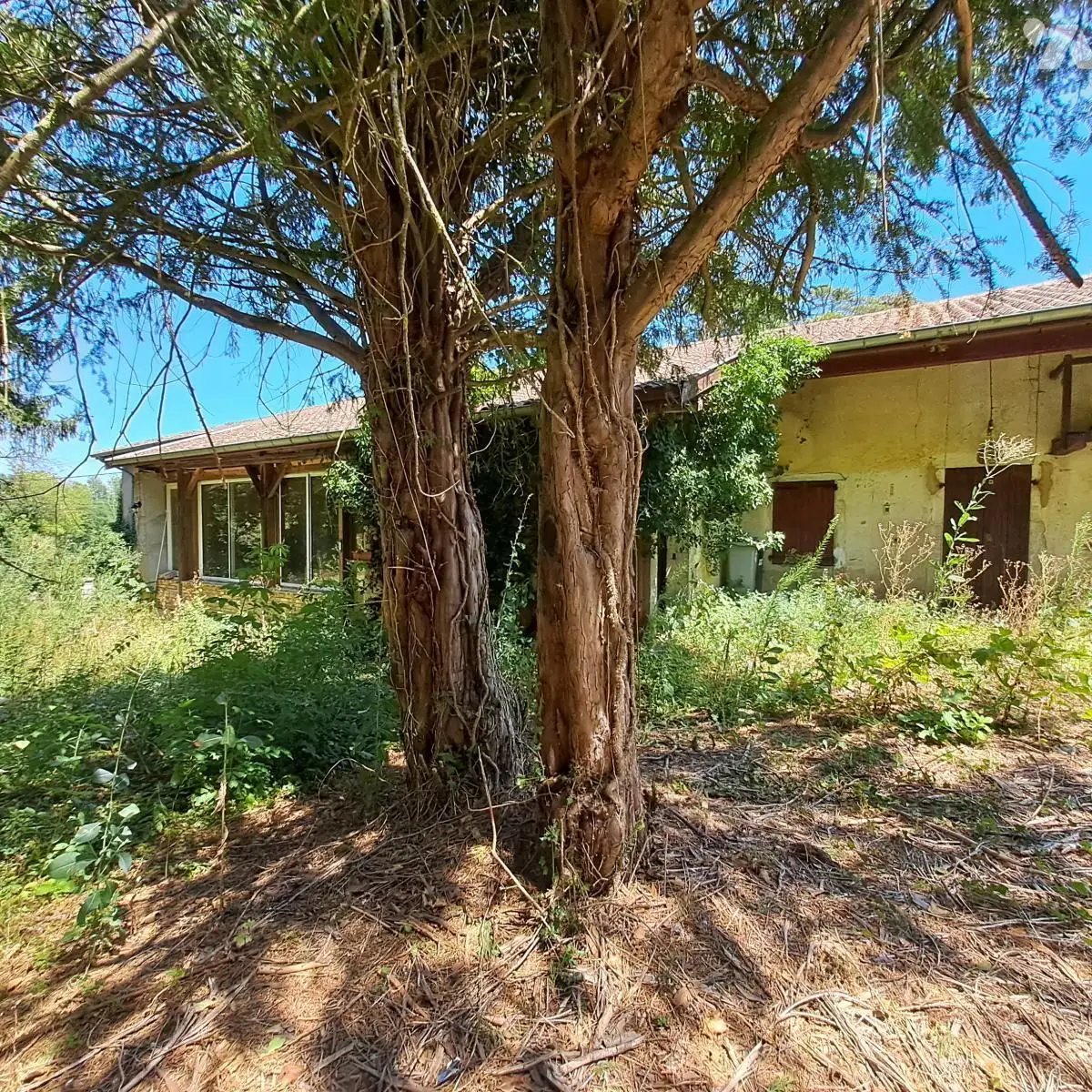 Maison à vendre, 98m², Mogneneins