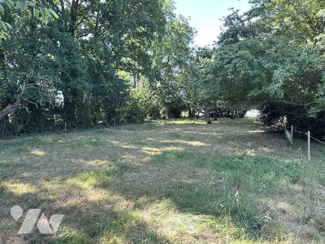 Maison à vendre, 20m², Montaigu
