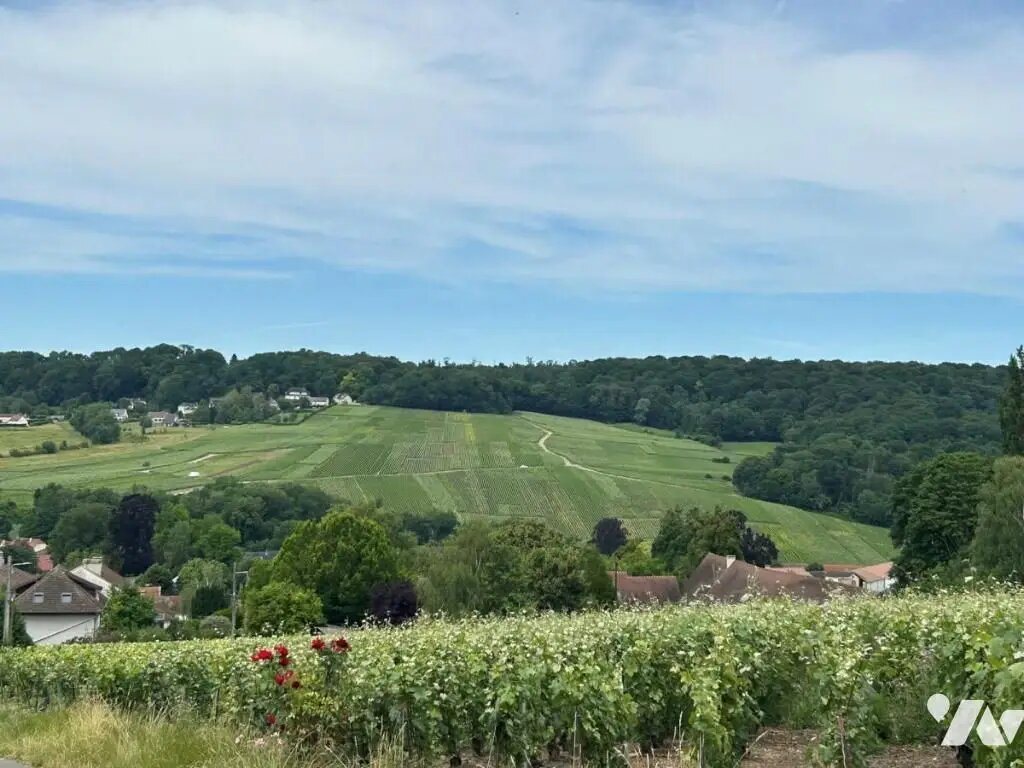 Maison à vendre, 199m², Saint-Martin-d'Ablois