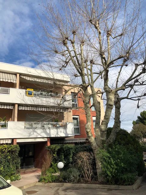 Appartement à louer, 92m², Marseille 9ème