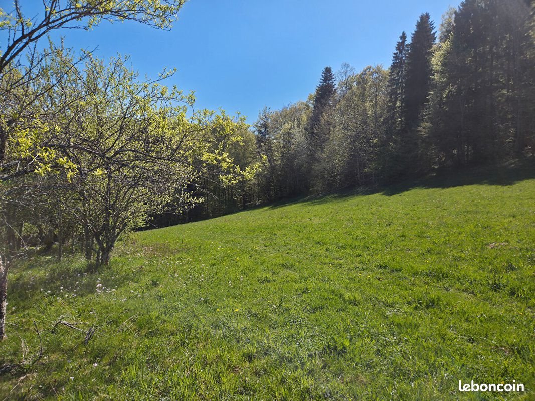 Maison à vendre, 110m², Montandon