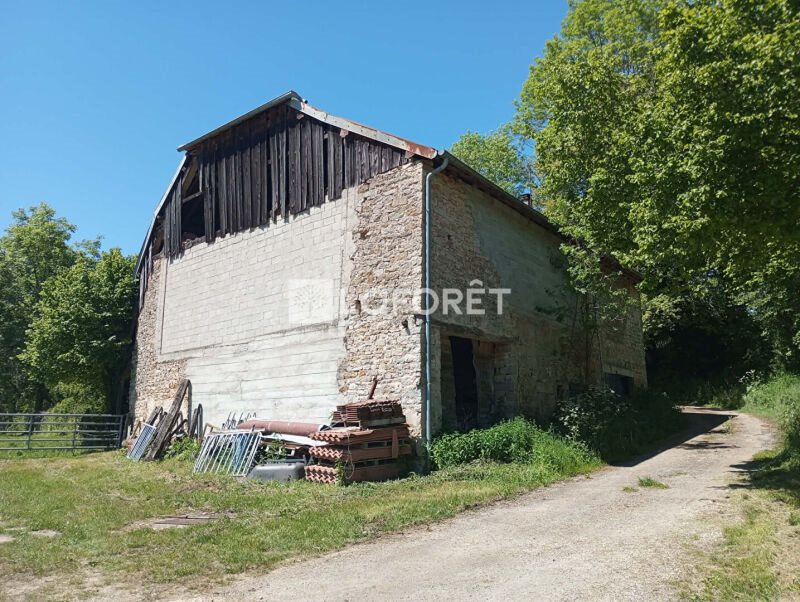 Maison à vendre, 200m², Salins-les-Bains