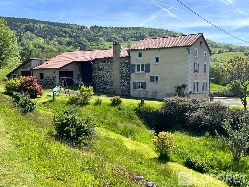 Maison à vendre, 220m², Siaugues-Sainte-Marie