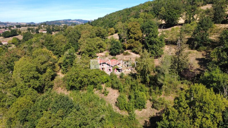 Maison à vendre, 171m², Saint-Martin-en-Haut