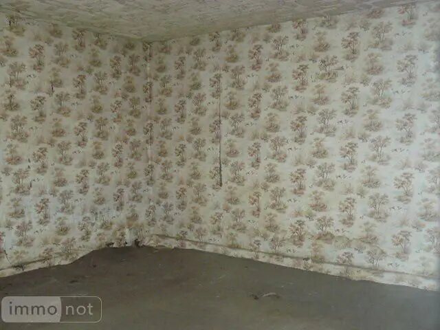 Maison à vendre, 80m², Saint-Ouen-lès-Parey