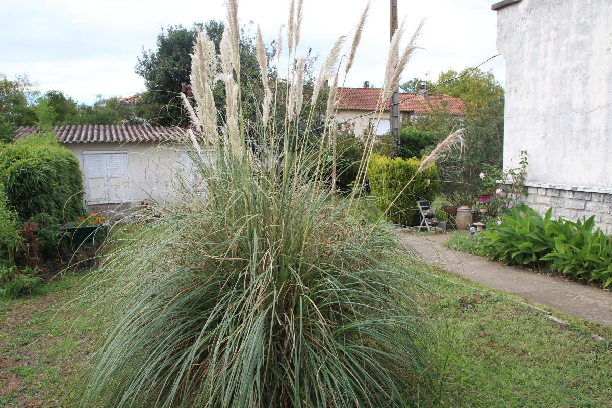 Maison à vendre, 57m², Niort
