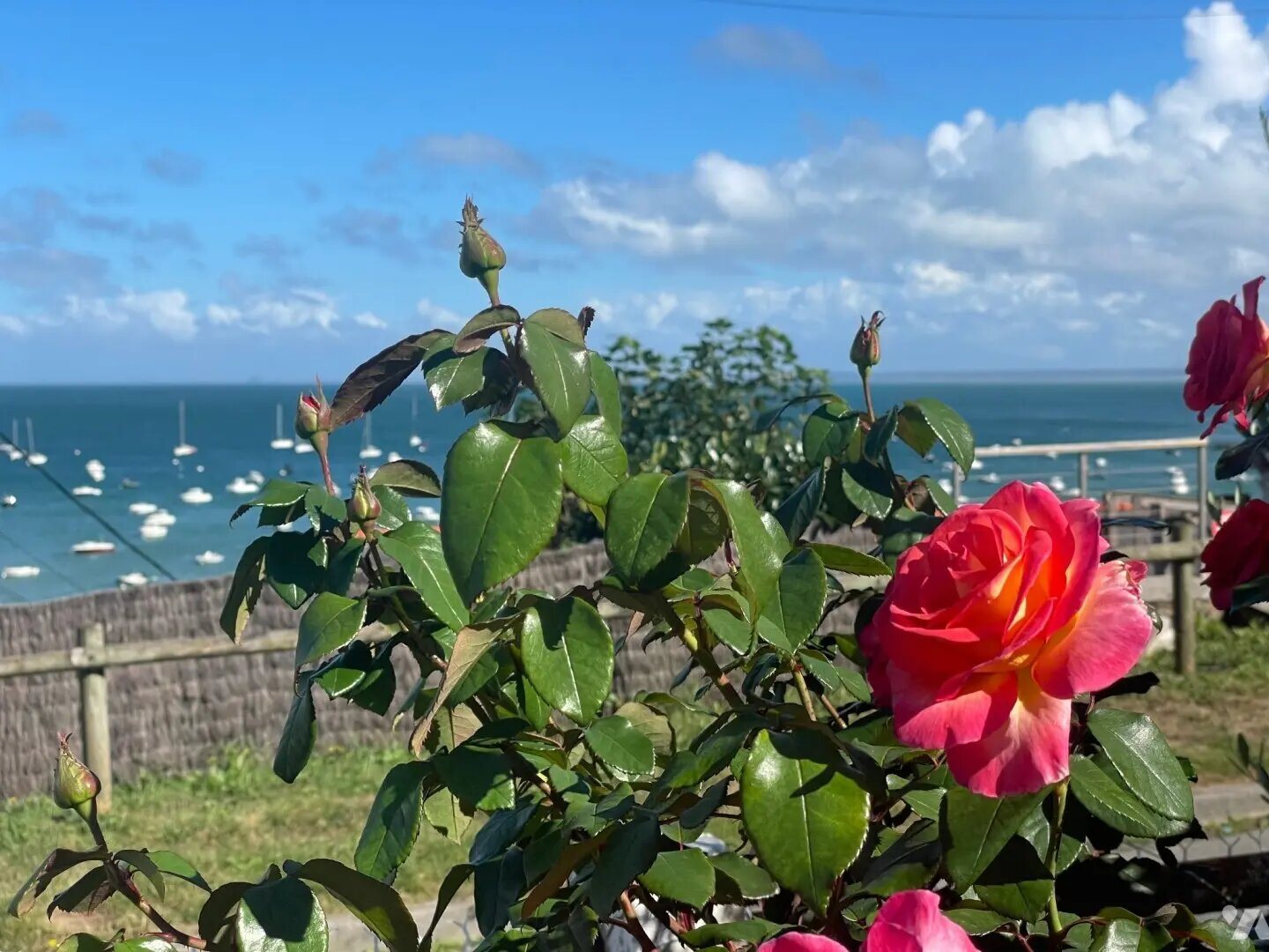 Maison à vendre, 80m², Cancale