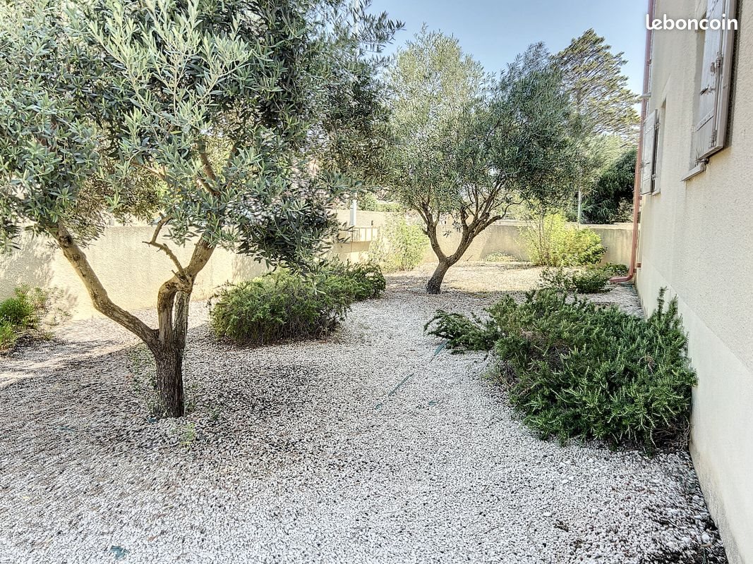 Maison à louer, 70m², Frontignan