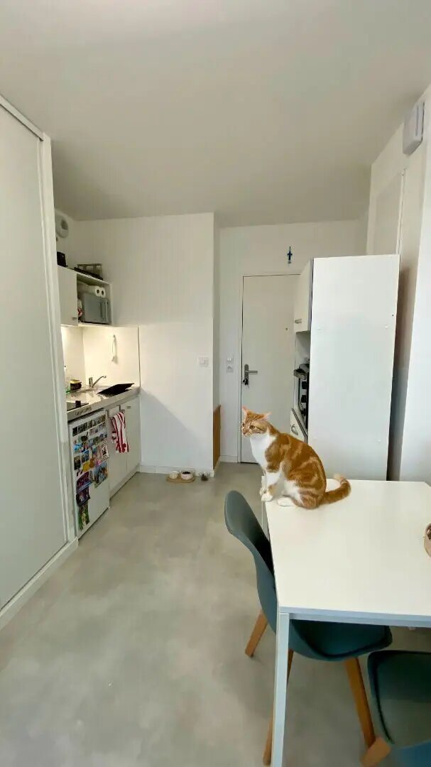 Appartement à vendre, 24m², Villeneuve-d'Ascq
