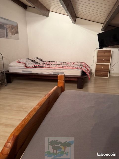 Appartement à louer, 31m², Saint-Cyprien