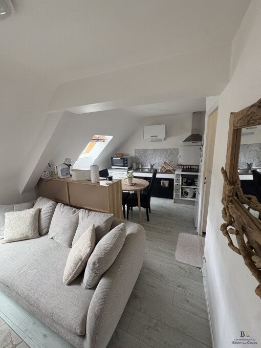 Appartement à louer, 31m², Salies-de-Béarn