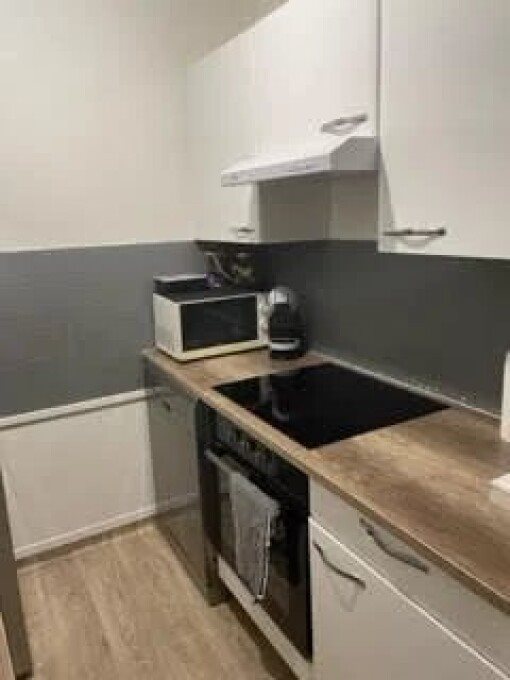 Appartement à louer, 49m², Tullins