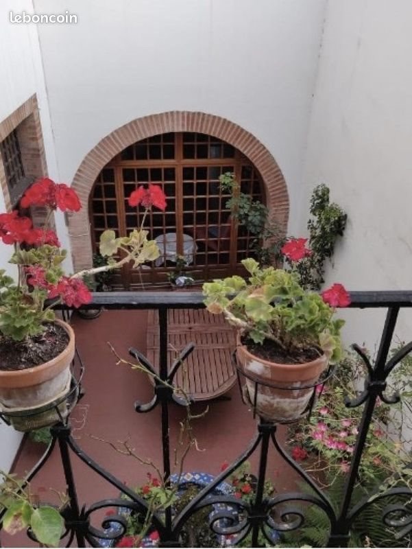 Maison à vendre, 367m², Moissac