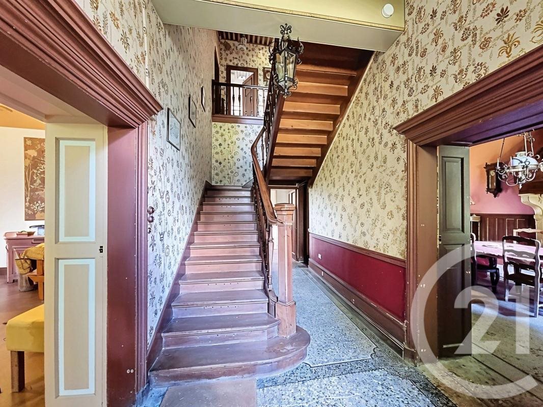 Maison à vendre, 457m², Eyzin-Pinet