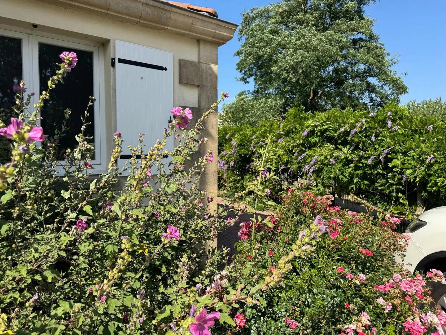 Maison à vendre, 139m², Limoges