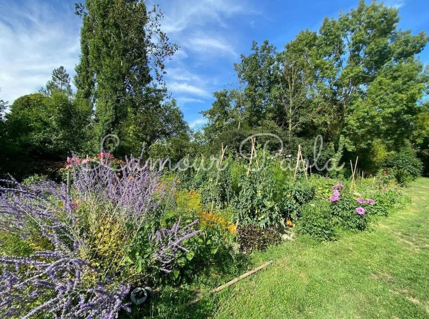 Maison à vendre, 369m², Saint-Jean-Saint-Germain