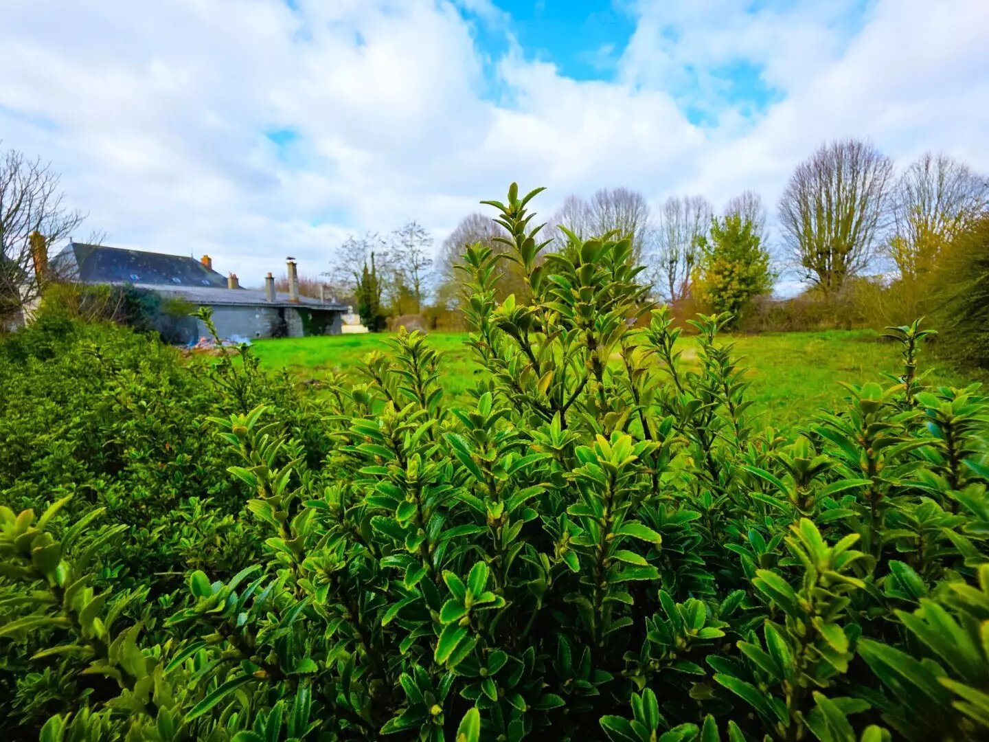 Maison à vendre, 175m², Baugé