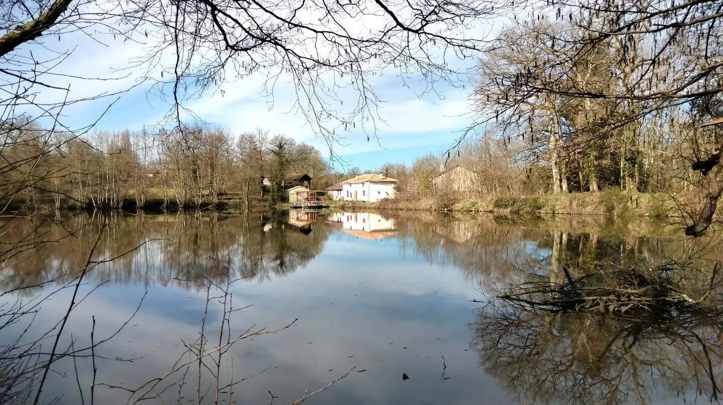 Maison à vendre, 232m², Asnières-sur-Blour