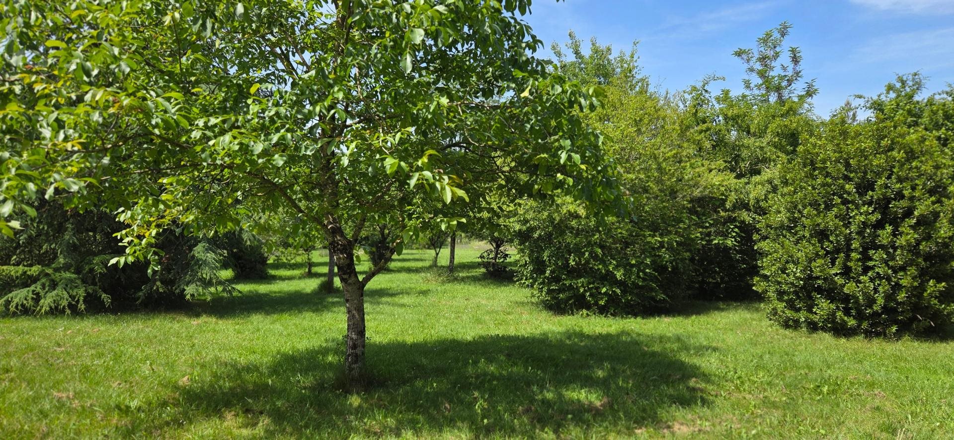 Maison à vendre, 135m², Leigné-les-Bois