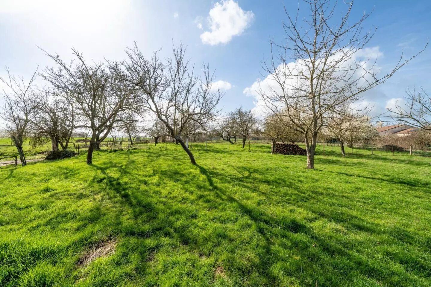Maison à vendre, 130m², Clémery