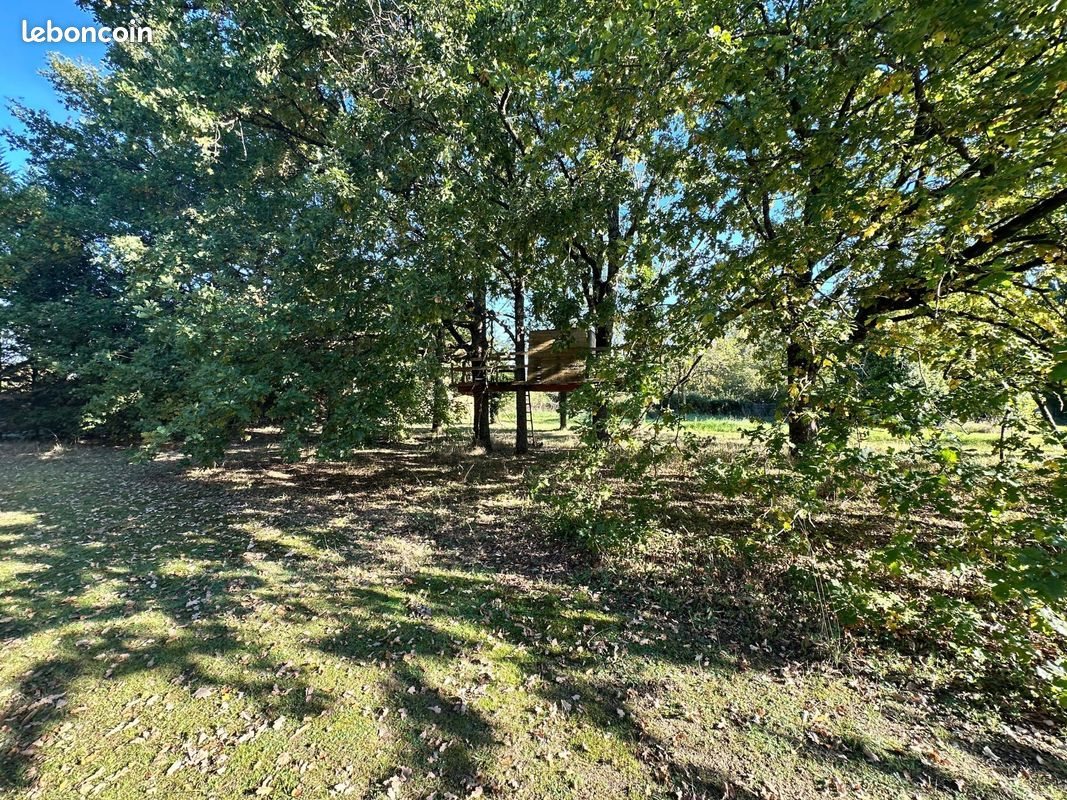 Maison à vendre, 250m², Olivet