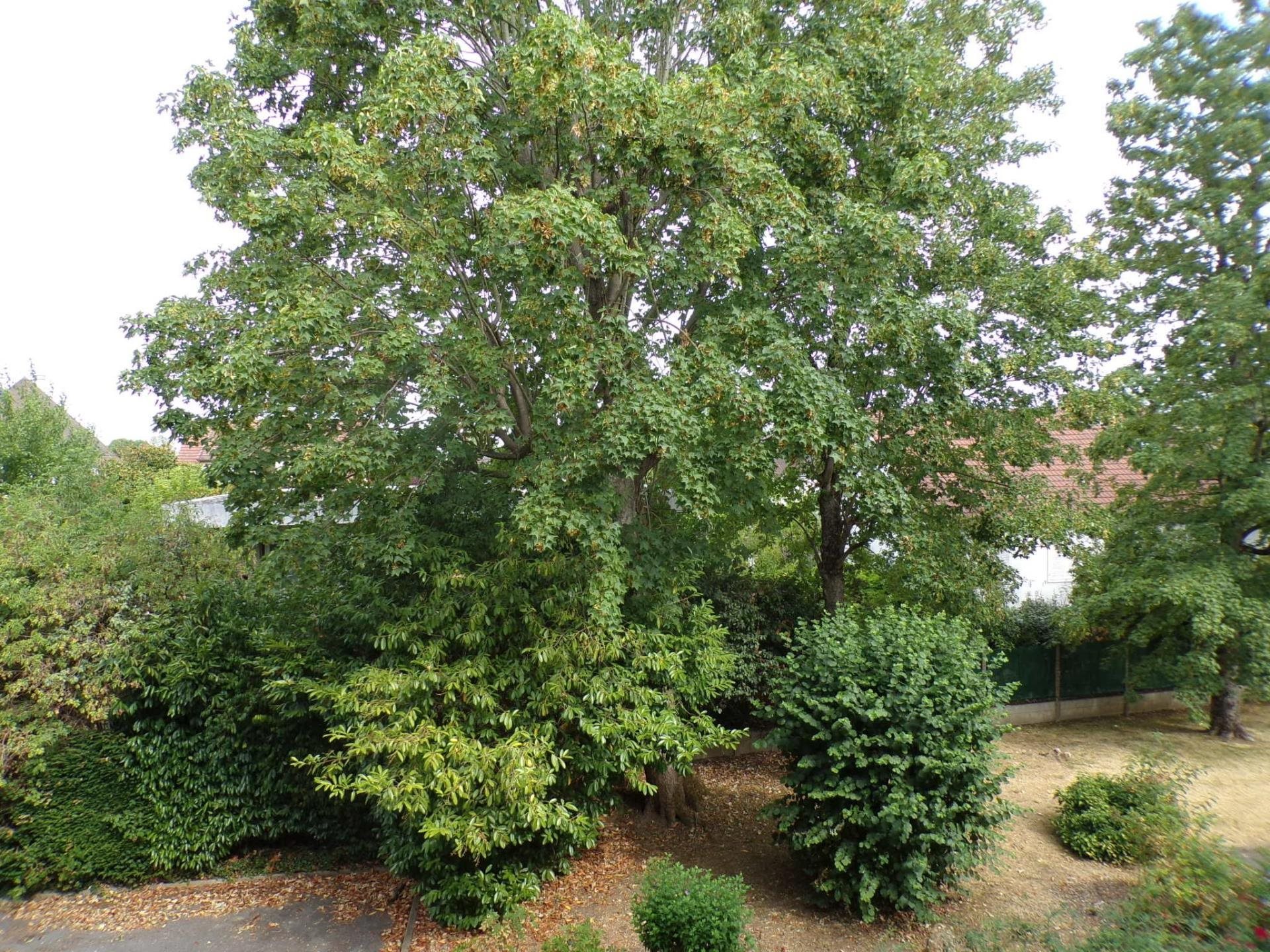 Appartement à vendre, 85m², Brunoy