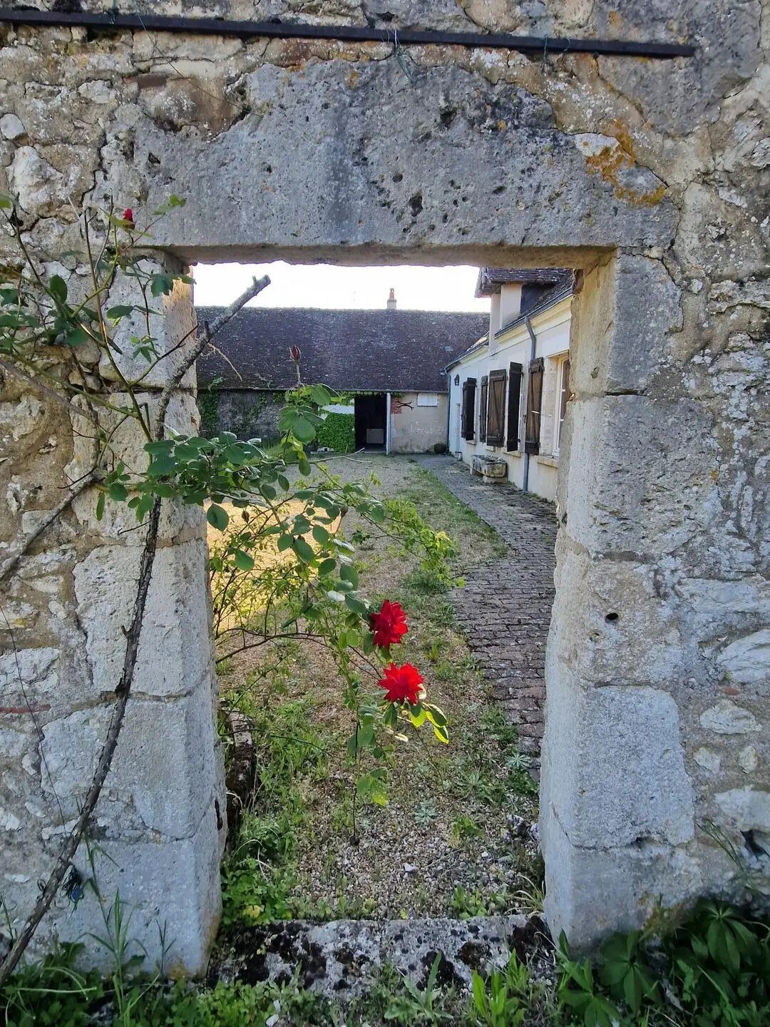 Maison à vendre, 218m², Mont-près-Chambord